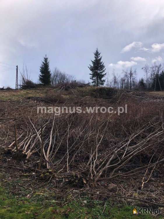 Łomnica, ul. , , Działki  na sprzedaż