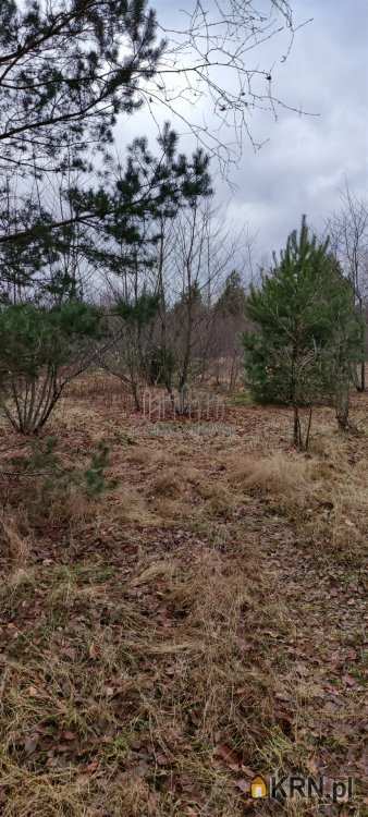 Działki  na sprzedaż, , Warszawa, Wawer/Miedzeszyn, ul. Liliowa