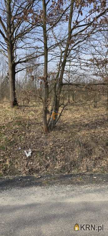 Bracia Sadurscy Oddział BS1 Kapelanka, Działki  na sprzedaż, Marcyporęba, ul. 