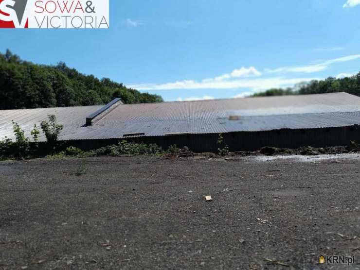 , Działki  na sprzedaż, Wałbrzych, Biały Kamień, ul. 