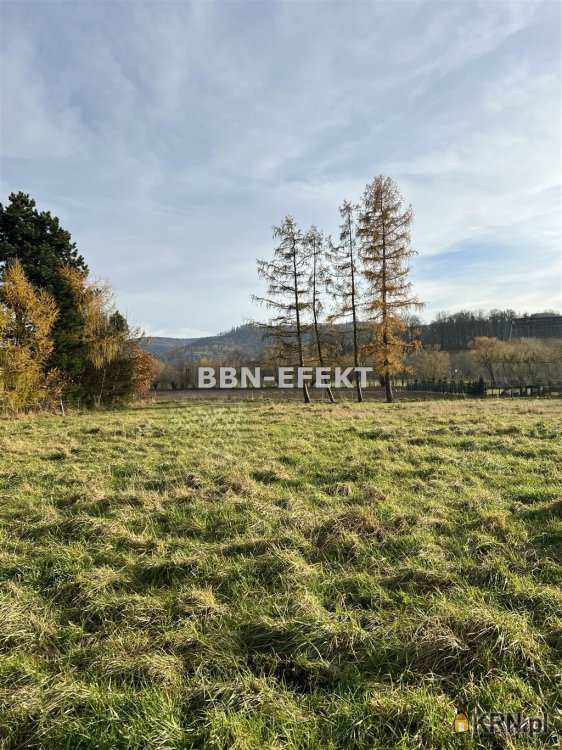 Działki  na sprzedaż, Jaworze, Jaworze Dolne, ul. , 