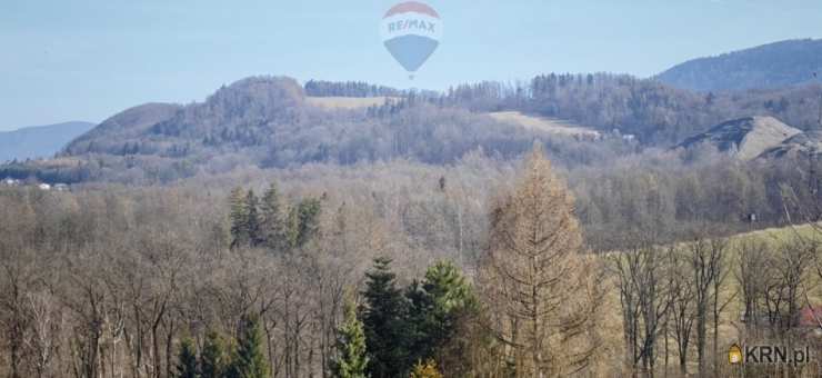 Działki  na sprzedaż, , Dzięgielów, ul. 