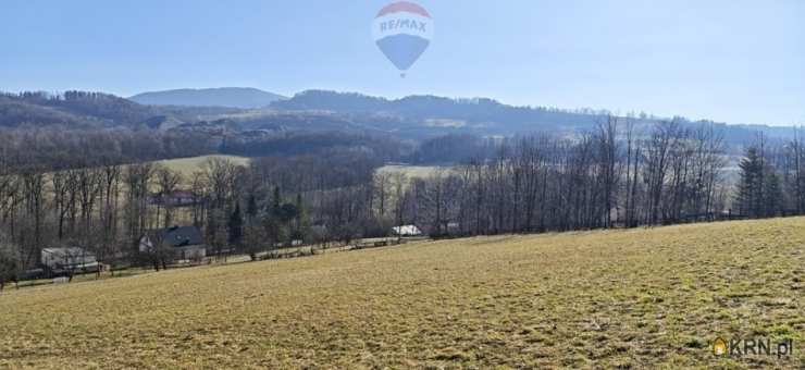 Działki  na sprzedaż, , Dzięgielów, ul. 