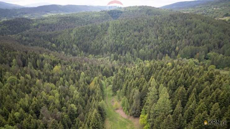 Działki  na sprzedaż, Krzeszów, ul. , 
