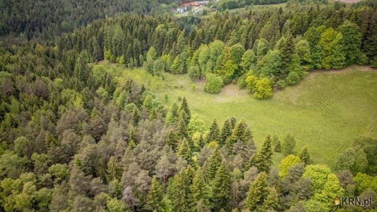 Krzeszów, ul. , Działki  na sprzedaż, 