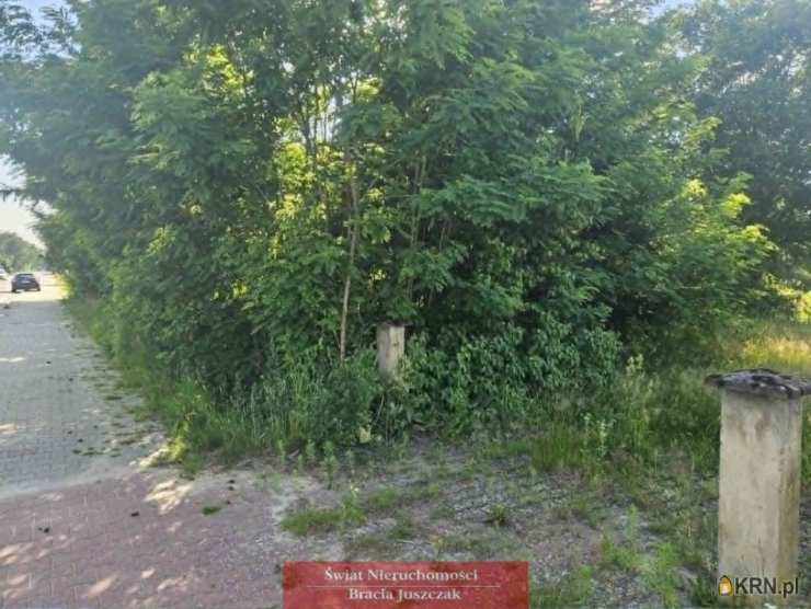 , Działki  na sprzedaż, Sosnówka, ul. 