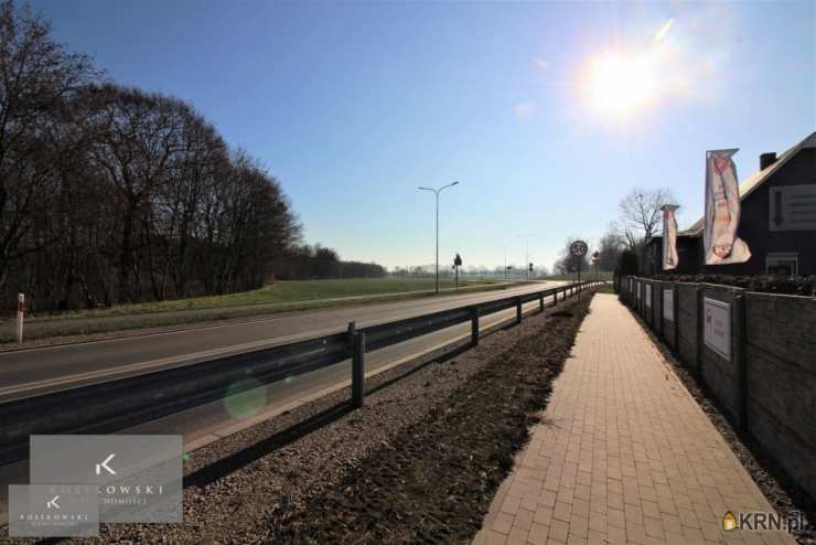 Działki  do wynajęcia, , Namysłów, ul. Brzeska