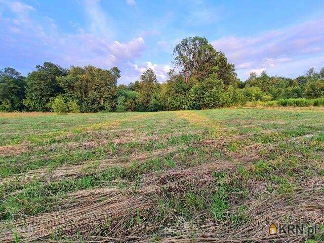 Biertowice, ul. , Działki  na sprzedaż, 