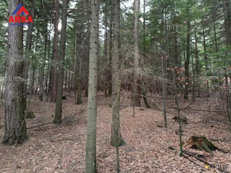 Działki  na sprzedaż, Pogorzany, ul. , 