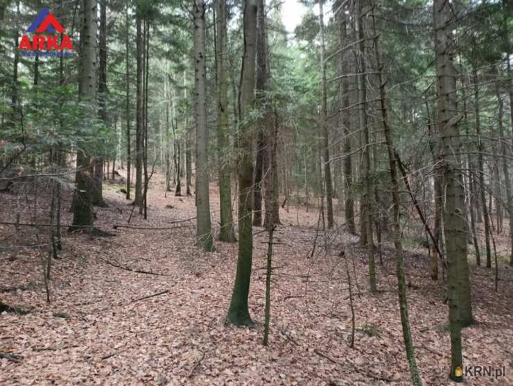 Działki  na sprzedaż, , Pogorzany, ul. 