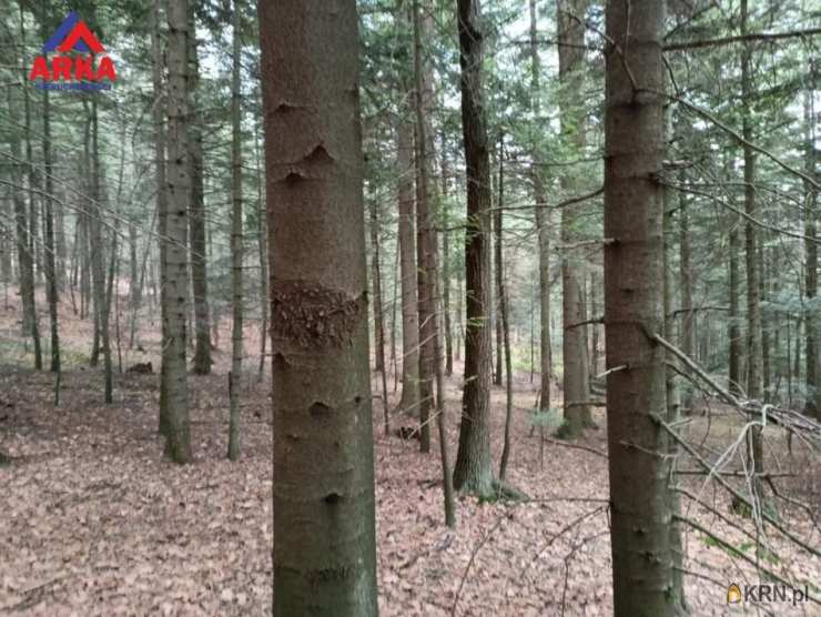 Pogorzany, ul. , Działki  na sprzedaż, 
