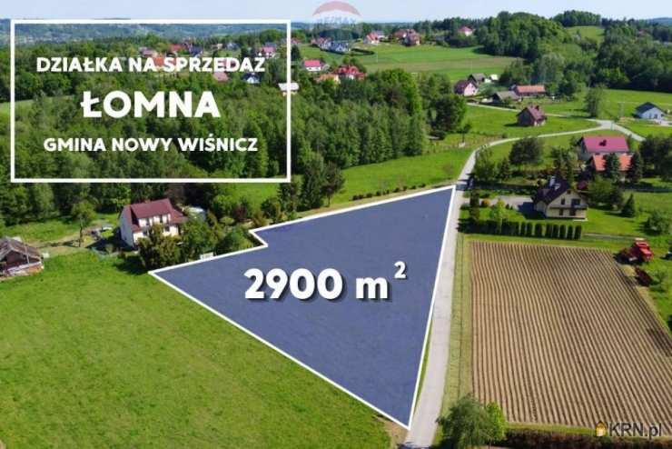 Działki  na sprzedaż, Łomna, ul. , 