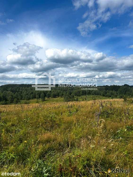 Sieciowa Agencja Nieruchomości Grupa Renoma, Działki  na sprzedaż, Trzepowo, ul. 