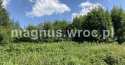 Działki na sprzedaż, Łomnica