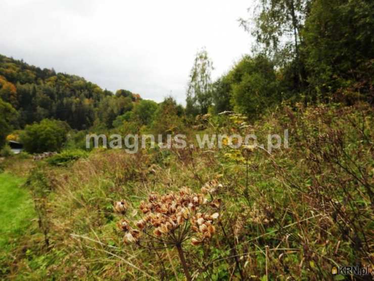 Łomnica, ul. , Działki  na sprzedaż, 