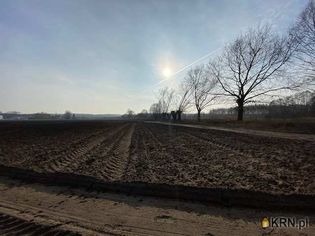 Działki  na sprzedaż, Aleksandrów Kujawski, ul. , 