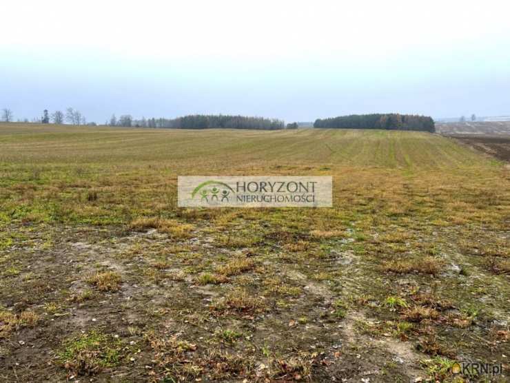 Działki  na sprzedaż, Borcz, ul. , 