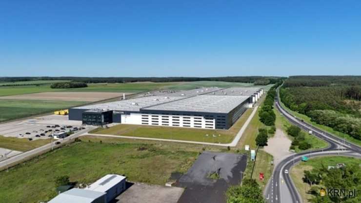 Działki  na sprzedaż, Krężoły, ul. , 