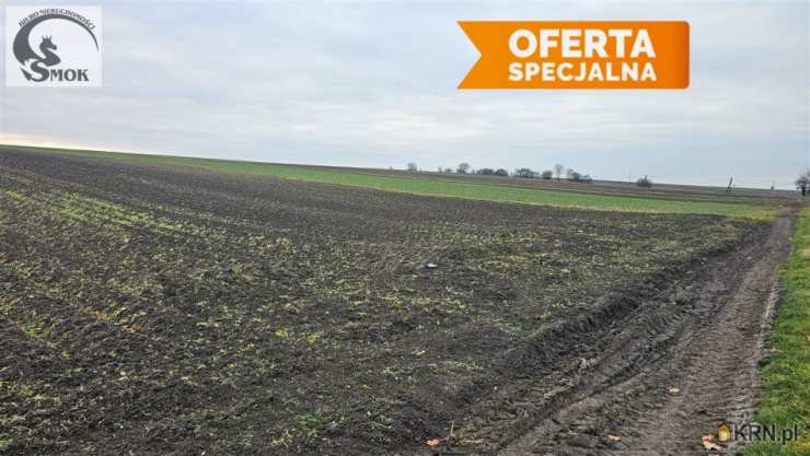 Działki  na sprzedaż, Prandocin, ul. , 