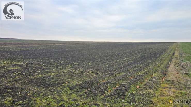 Działki  na sprzedaż, , Prandocin, ul. 