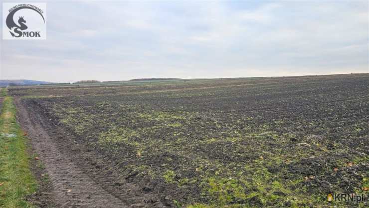 Prandocin, ul. , Działki  na sprzedaż, 