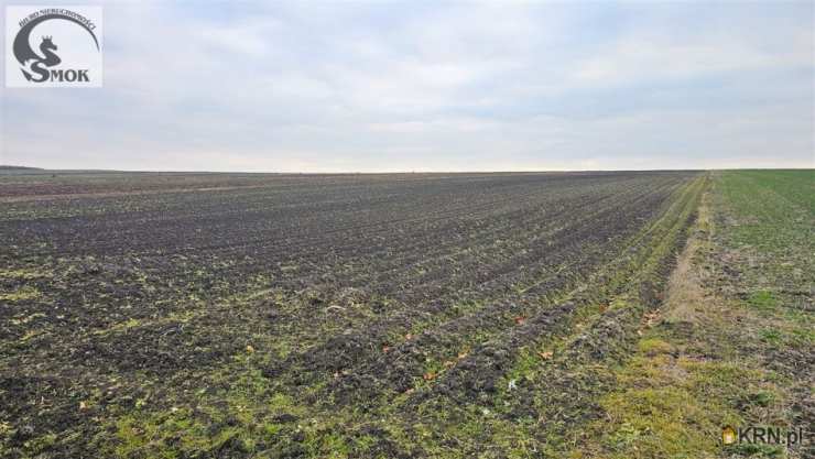 Prandocin, ul. , , Działki  na sprzedaż