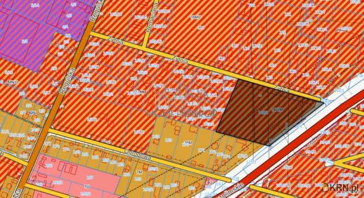 Działki  na sprzedaż, , Reguły, ul. Żytnia
