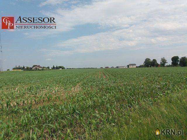 Działki  na sprzedaż, Kalisz, Zagorzynek, ul. , 