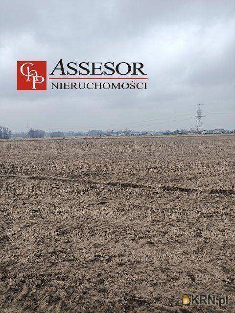 Assesor NIeruchomości, Działki  na sprzedaż, Kalisz, Zagorzynek, ul. 