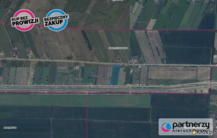 Działki  na sprzedaż, Kazimierzowo, ul. , 