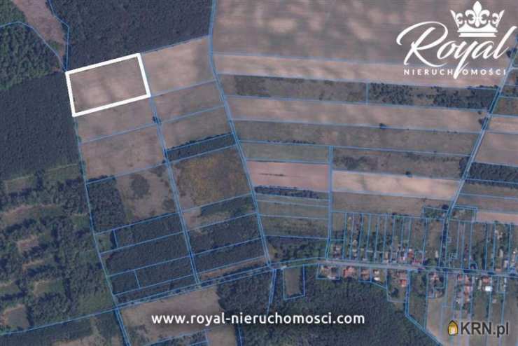 Działki  na sprzedaż, , Powidz, ul. 