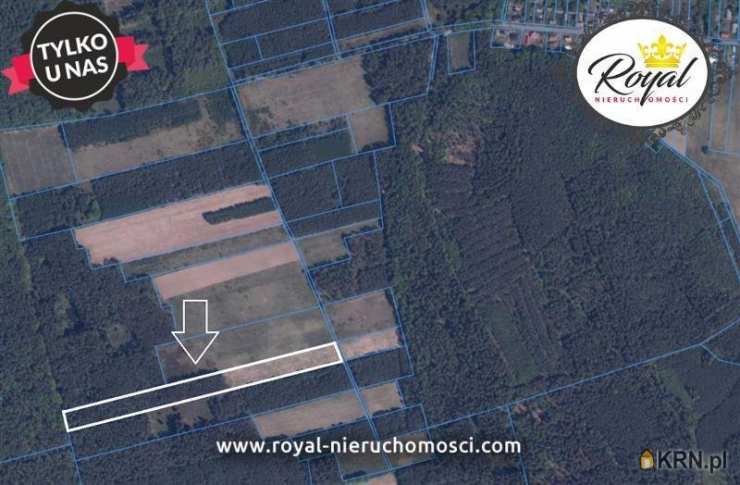 Działki  na sprzedaż, Powidz, ul. , 