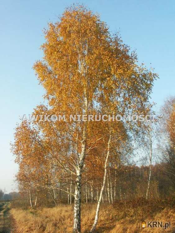 Borowiny, ul. , Działki  na sprzedaż, 