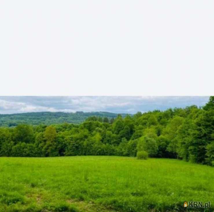 Działki  na sprzedaż, Łobozew Górny, ul. , 