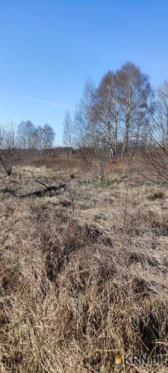 , Warszawa, Białołęka/Grodzisk, ul. Kroczewska, Działki  na sprzedaż