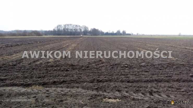 Działki  na sprzedaż, Guźnia, ul. , 