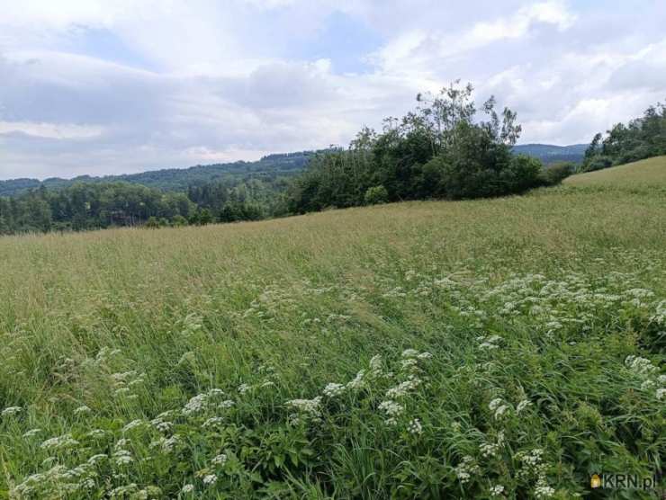 Walim, ul. , Działki  na sprzedaż, 