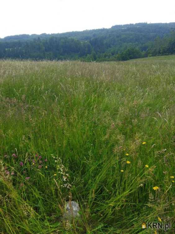 Biuro Nieruchomości SOWA, Działki  na sprzedaż, Walim, ul. 