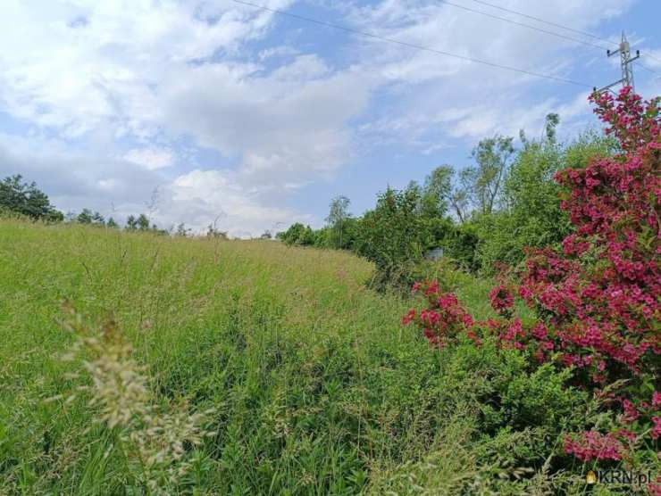 Biuro Nieruchomości SOWA, Działki  na sprzedaż, Walim, ul. 