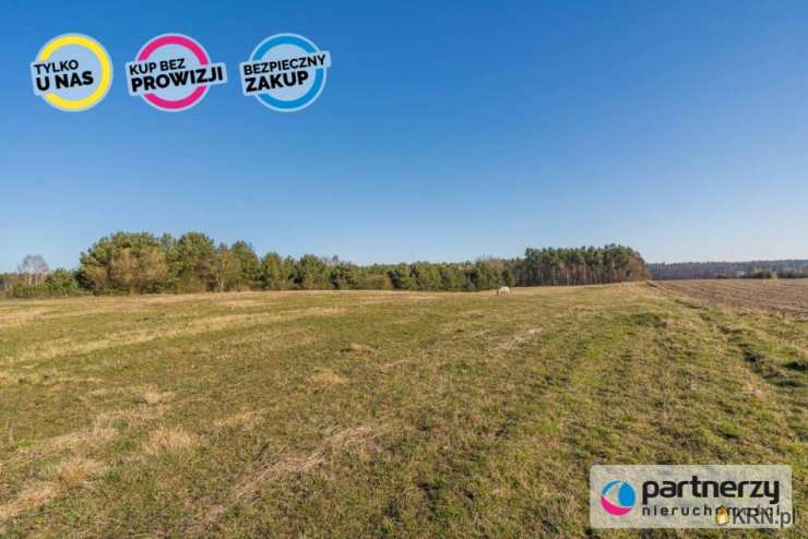 PARTNERZY Nieruchomości sp. z o.o., Działki  na sprzedaż, Zwierzewo, ul. 