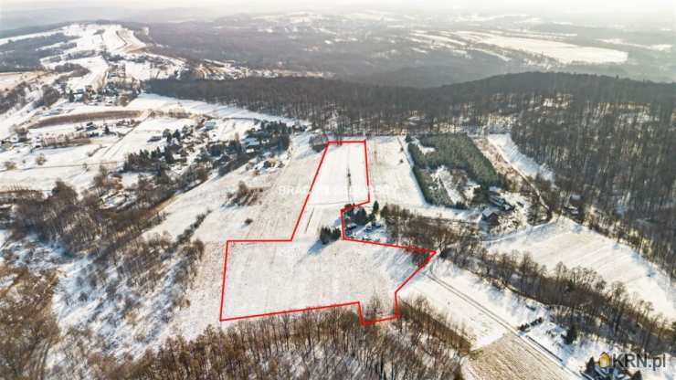 Działki  na sprzedaż, , Płaza, ul. Podlas