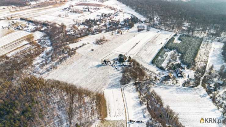 Płaza, ul. Podlas, , Działki  na sprzedaż