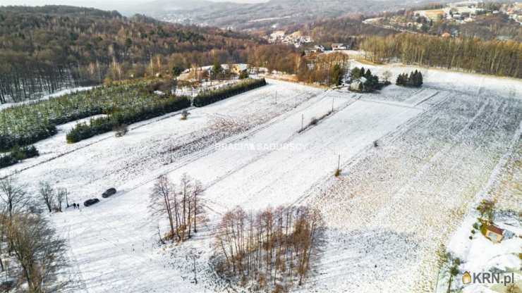 Działki  na sprzedaż, , Płaza, ul. Podlas