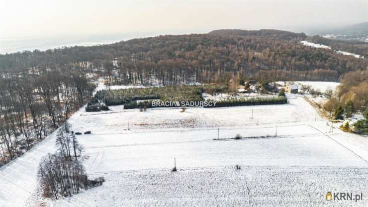 Płaza, ul. Podlas, Działki  na sprzedaż, 