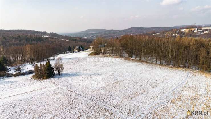 , Płaza, ul. Podlas, Działki  na sprzedaż