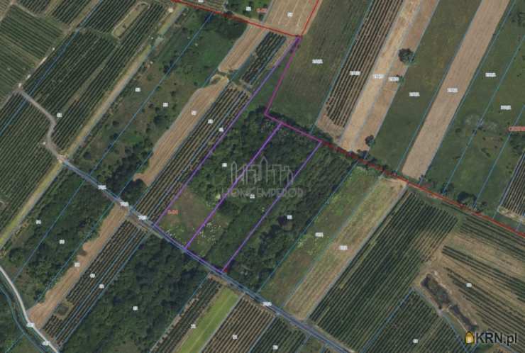 Działki  na sprzedaż, , Góra Kalwaria, ul. 