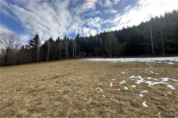 , Działki  na sprzedaż, Las, ul. 