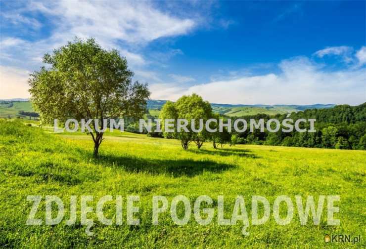Działki  na sprzedaż, Cieszyn, ul. Frysztacka, 