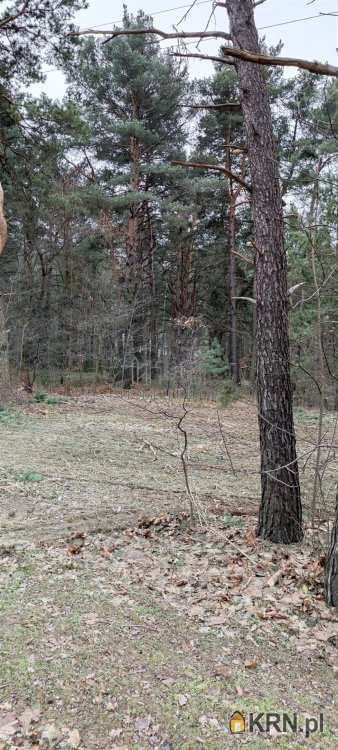 Działki  na sprzedaż, , Józefów, ul. Daleka