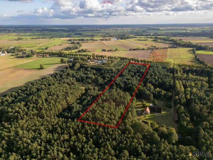 Działki  na sprzedaż, Jędrzejewo, ul. , 